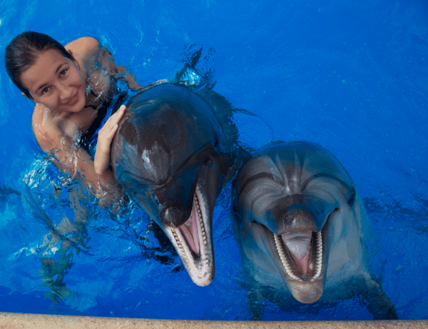 Punta Cana Dolphin Encounter Excursion