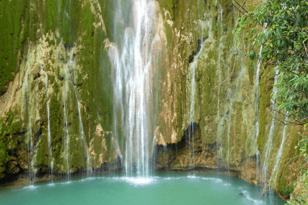 Punta Cana El Limon Waterfall and Samana day tour excursion