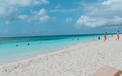 Saona Island-Why it is a must-see in Punta Cana